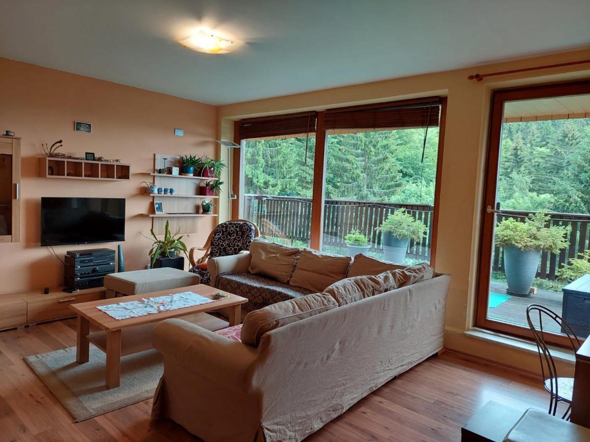 Panorama Apartman Svadlenka روكيتنسي ناد جيزيرو المظهر الخارجي الصورة